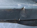 бампер передний Toyota Avensis 3 поколение (T270) [рестайлинг] 2012, 2.0 л., DiD, дизель, МКПП, серебристый, передний привод, правый руль, 5211905210, 5211905220, 7531205040, 7530105030, 7530105040, A028E0010, A028E0040, A0285195, 5310105040, 5310105050, 5310105060, 5311105080 - фото №10
