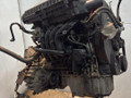 двигатель Volkswagen Golf 4 поколение 2002, 1.4 л., i, BCA, бензин, 5МКПП, передний привод, AXP, BCA, BCA - фото №3