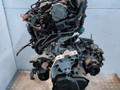 двигатель Volkswagen Golf 5 поколение 2007, 1.9 л., TDi, BXE, дизель, 5МКПП, передний привод, BKC, BXE - фото №3