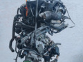 двигатель Volkswagen Golf 4 поколение 1999, 1.6 л., i, AKL, бензин, 5МКПП, передний привод, AKL, AKL - фото №3