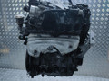 двигатель Audi A3 8P [рестайлинг] 2006, 1.6 л., i, BSE, бензин, АКПП, передний привод, правый руль, BFQ, BGU, BFS, BSE - фото №5