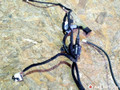 дверная проводка BMW 7 серия E65/E66/E67 2004, 4.4 л., бензин, АКПП, седан, 6913145, 6913152, 6913147, 6913141, 8377308, 8379697 - фото №5