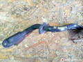 дверная проводка BMW 7 серия E65/E66/E67 2004, 4.4 л., бензин, АКПП, седан, 6913145, 6913152, 6913144, 6913164 - фото №2