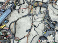 проводка двигателя BMW 7 серия E65/E66/E67 2004, 4.4 л., бензин, АКПП, седан, 61137012103, 61137012104, 6900582 - фото №6