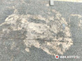 пол багажника Toyota RAV4 3 поколение (XA30) [рестайлинг] 2010, 2.2 л., 2AD-FTV, дизель, МКПП, внедорожник 5 дв., 5841042030 - фото №2