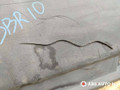молдинг крыла заднего левого IVECO Daily 4 поколение 2008, 2.3 л., дизель, МКПП, фургон, 500326822, 500334456, 504099679, 504099687 - фото №5