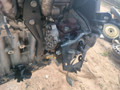 ТНВД Peugeot 308 T7 2010, 1.6 л., 9HY (DV6TED4), дизель, МКПП, черный, хетчбэк 5 дв., 0445010102, 9683703780, CRCP1H3R7010-7212S, 07001692250 - фото №5