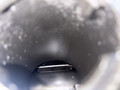головка блока цилиндров BMW 5 серия E39 1999, 3.0 л., M57 D30 (306D1), дизель, АКПП, M57D30 - фото №14