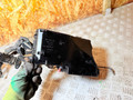 проводка двигателя Volvo V50 1 поколение 2004, 2.4 л., B 5244 S5, бензин, АКПП, универсал, 8688039, 3M5T14A142AB, 8688040, 318818101, 30728013 - фото №12
