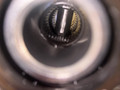 КПП автоматическая (АКПП) Smart Fortwo 1 поколение [рестайлинг] W450.432 2004, 1.0 л., M 132.910, бензин, АКПП, кабриолет, 4310033990, 041044 - фото №8