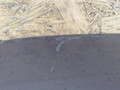 крышка багажника (дверь 3-5) Renault Scenic 3 поколение 2010, 1.9 л., F9Q 872, дизель, МКПП, минивэн - фото №13