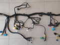 проводка торпеды IVECO Daily 4 поколение 50C15 2010, 3.0 л., F1CE0481F, дизель, фургон, 69504013 - фото №5