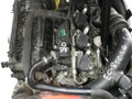 двигатель Ford Focus 3 поколение [рестайлинг] 2016, 1.5 л., Ti, бензин, M8DB - фото №2