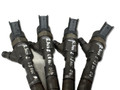 форсунка Renault Scenic 2 поколение 2005, 1.9 л., дизель, 0445110110B - фото №4