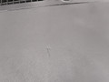 панель передняя салона (торпедо) Jeep Grand Cherokee 4 поколение [рестайлинг] WK2 2014, 3.0 л., дизель, АКПП, передний привод - фото №8