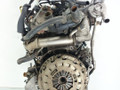 двигатель Ford Transit 7 поколение 2008, 2.2 л., TDCi, P8FA, дизель, 5МКПП, микроавтобус, передний привод, P8FA, P8FB, 1709003, 9C1Q-6006-AA, 1749287, P8FA - фото №5