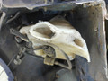 передняя часть (ноускат) Opel Zafira 1 поколение (A) [рестайлинг] 2005, 2.0 л., DTi, Y 20 DTH, дизель, 5МКПП, минивэн, передний привод - фото №12