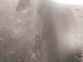 пневмоподушка BMW X5 E53 2001, 3.0 л., M57 D30 (306D1), дизель, внедорожник 5 дв., 6750356 - фото №2