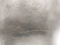 пневмоподушка BMW X5 E53 2003, 3.0 л., M57 D30 (306D2), дизель, внедорожник 5 дв., 6750355 - фото №2
