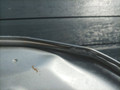 капот Mercedes-Benz S-Класс W223 2024, 3.0 л., M256 E30, бензин, АКПП, седан - фото №8