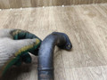 трубка охлаждающей жидкости Hyundai Terracan 1 поколение 2004, 2.9 л., дизель, АКПП, внедорожник 5 дв. - фото №5