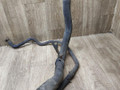 патрубок радиатора Mercedes-Benz Vito W638 2000, 2.2 л., OM 611.980, дизель, МКПП, микроавтобус, 6385012082 - фото №4