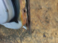 дверь передняя левая Mercedes-Benz M-Класс W163 2001, 3.2 л., M 112.942, бензин, АКПП, внедорожник 5 дв. - фото №17