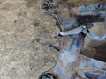 балка подвески задняя Mercedes-Benz C-Класс W203/S203/CL203 2003, 2.2 л., OM 611.962, дизель, АКПП, универсал - фото №12