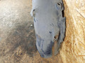защита арок задняя правая (подкрылок) Mercedes-Benz M-Класс W163 2001, 3.2 л., M 112.942, бензин, АКПП, внедорожник 5 дв. - фото №4