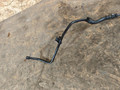 шланг (трубка) АКПП Mercedes-Benz C-Класс W203/S203/CL203 2003, 2.2 л., OM 611.962, дизель, АКПП, универсал - фото №4