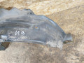 защита арок передняя левая (подкрылок) Nissan Almera N16 2003, 1.5 л., QG15DE, бензин, МКПП, хетчбэк 5 дв., 638415M310 - фото №4