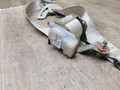 ремень безопасности Hyundai Santa Fe 2 поколение (CM) 2005, 2.2 л., дизель, АКПП, внедорожник 5 дв., 8981020-2B000 - фото №3