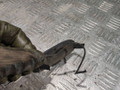 заглушка (решетка) в бампер Renault Laguna 1 поколение 1997, 2.0 л., бензин, МКПП, хетчбэк 5 дв. - фото №4
