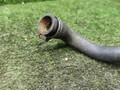 патрубок радиатора Ford Transit 4 поколение 1990, 2.5 л., 4CC, дизель, МКПП, микроавтобус - фото №5