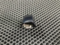 ручка наружная Audi A6 4G/C7 2012, 3.0 л., CGWB, бензин, АКПП, седан, 4H0837167, 4H0837168 - фото №4