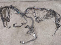 проводка двигателя Toyota RAV4 4 поколение (CA40) (2012 - 2015), 2.0 л., D-4D, 8212-42D21A, 0400-141024 - фото №2