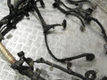 проводка двигателя Lexus RX 2 поколение (2003 - 2006), 3.3 л., 3MZ-FE, бензин - фото №4