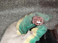 подушка крепления двигателя Nissan Murano Z50 (2002 - 2008), 3.5 л., i, 11270-CA103 - фото №2