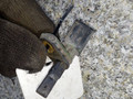 датчик ABS Skoda Octavia 2 поколение (A5) 2007, 100711-50693, 7H0927803 - фото №5