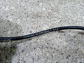 датчик ABS Chevrolet Cruze 1 поколение (2009 - 2012), 1.6 л., i, 12783655, 10.0711-5266.3 - фото №3