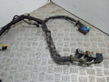 проводка двигателя Mazda 3 BK (2003 - 2005), 1.6 л., дизель, Y60518791A - фото №2