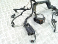 проводка двигателя Opel Vectra C (2002 - 2005), 2.2 л., DTi, Y 22 DTR, дизель, 09179635 - фото №9