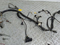 проводка двигателя Renault Megane 1 поколение (1995 - 1999), 1.6 л., i, K7M 702, бензин, 7700282709 - фото №3