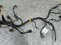 проводка двигателя Fiat Linea 1 поколение (2006 - 2012), 1.4 л., i, 350 A1.000, бензин, 55237493 - фото №3