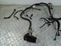 проводка двигателя Renault Megane 1 поколение (1995 - 1999), 1.6 л., K7M 702, бензин, 7700282709 - фото №3
