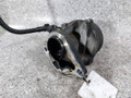 насос вакуумный Renault Megane 2 поколение (2002 - 2006), 1.5 л., DCi, K9K 704, дизель, МКПП, 8200113585, 72238912 - фото №4