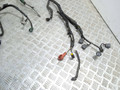 проводка двигателя Nissan Micra 3 поколение (K12) (2002 - 2007), 1.4 л., i, CR14DE, бензин, 24011BC001 - фото №2