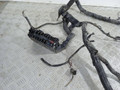 проводка Nissan Almera N16 (2000 - 2003), 1.5 л., DCi, дизель, 24012BN701 - фото №5