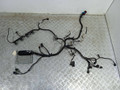 блок управления двигателем Ford Focus 2 поколение (2004 - 2008), 1.6 л., i, HWDA, бензин, МКПП, 3M5T-12A690, 5M51-12A650-ZB, S118934104, S118325001 - фото №2