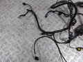 проводка двигателя Opel Zafira 2 поколение (B) (2005 - 2008), 1.9 л., CDTi, Z 19 DT, дизель, МКПП, 90566071, 55E231A09 - фото №2